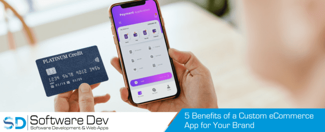 Person using a brand’s custom ecommerce app to make an online purchase