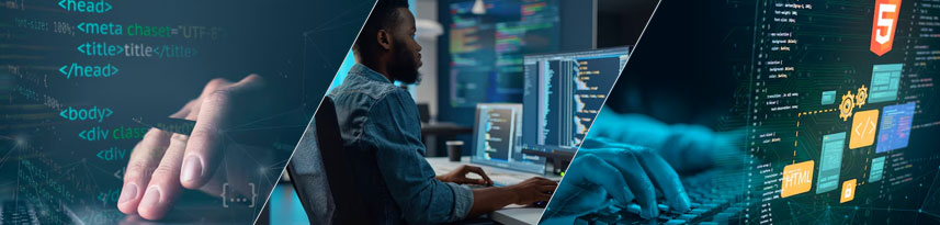 Software Development Services